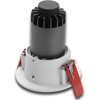 Cricket-Orth-Rear-RF