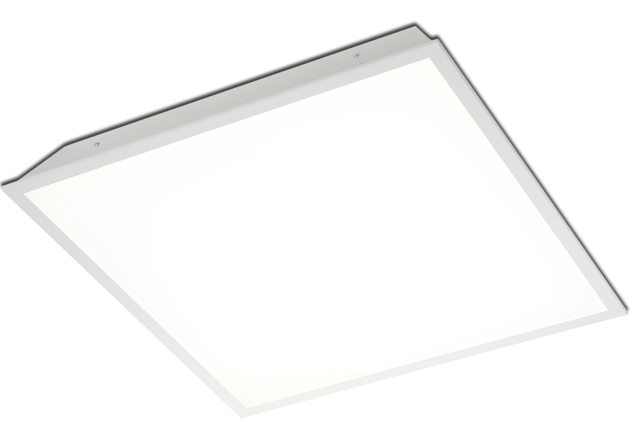 Hornet-Main-Large