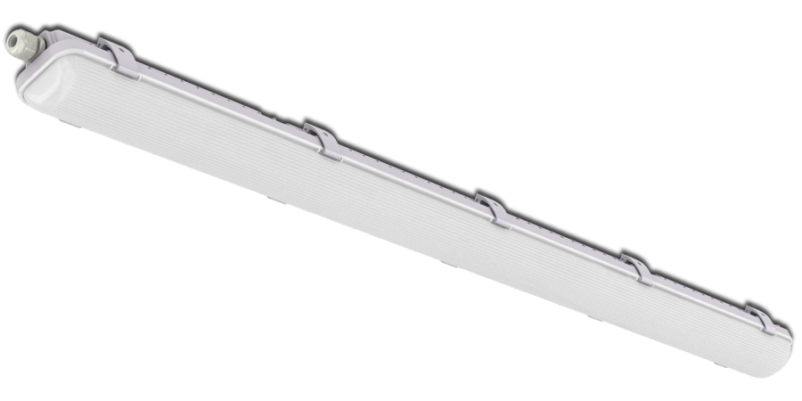 Anura-Main-Large