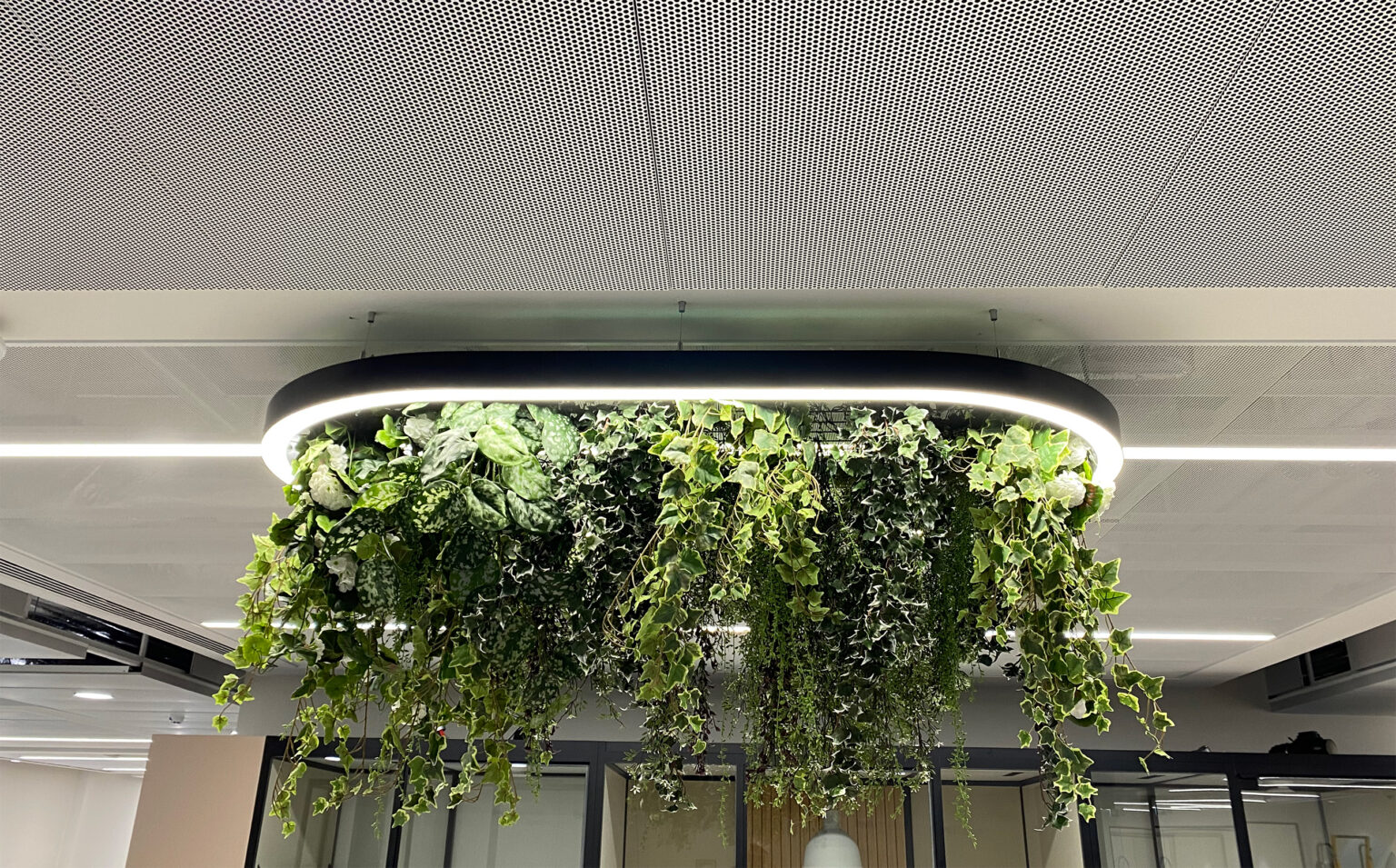 Bringing Nature Indoors: Exploring Biophilic Lighting | Bumblebee Lighting