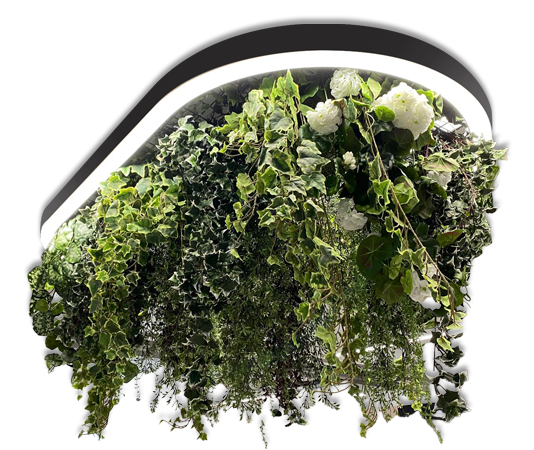 Phoenix-Planter-Main-Image